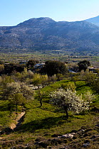 Plateau of Katharo with hills in the distance, Crete, Greece, April 2009
