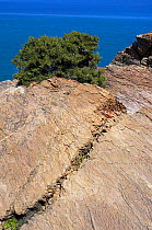 Rocks near the palm beach in Vai, Crete, Greece, April 2009