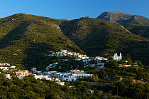 Sfaka village, Crete, Greece, April 2009