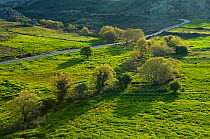 Road in valley near Spili ,Crete, Greece, April 2009