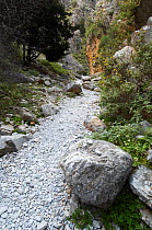 Path in Imbros Gorge, Crete, Greece, April 2009