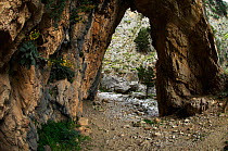 Rock arch, Imbros Gorge, Crete, Greece, April 2009
