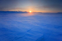 Sun low on the horizon with wind blowing snow, Agardh-bukta, Spitsbergen, Svalbard, March 2009