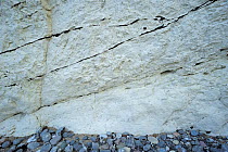 Chalk cliff and flintstone, Hylledals Slugt, Mns Klint, Mn, Denmark, July 2009