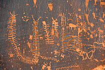 Petroglyphs on cliff near Colorado River, Moab,  Utah, USA, January 2008