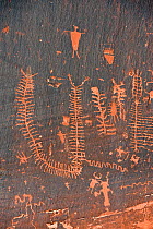 Petroglyphs on cliff near Colorado River, Moab,  Utah, USA, January 2008