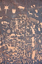 Petroglyphs, Newspaper Rock, Utah, USA, October 2009