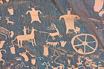 Petroglyphs, Newspaper Rock, Utah, USA, October 2009