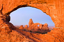 Turret Arch viewed through North Window at dawn, Arches NP, Utah, USA, October 2009