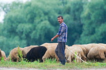 Farmer with sheep, Moldova, June 2009