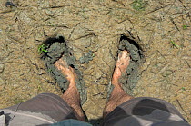 Photographer, Laurent Geslin's bare feet in mud along the border of lake Belau Nature Reserve, Moldova, June 2009