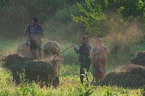 Farmers with traditional horse drawn cart harvesting hay, Central Moldova, July 2009