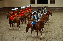 La Maison Du Roy (the Royal House) of the Garde Républicaine (Republican Guard), part of the French Gendarmerie, mounted on Selle Français horses at the Caserne des Célestins, Paris, France. Octobe...