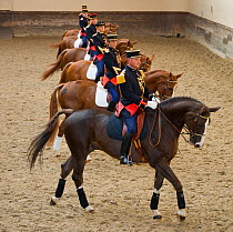 Mounted officers of the Garde Républicaine (Republican Guard), part of the French Gendarmerie, performing La Reprise des Douze (The Resumption of the Twelve) mounted on Selle Français horses at the...