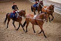 Mounted officers of the Garde Républicaine (Republican Guard), part of the French Gendarmerie, performing The Tandems mounted on Selle Français horses at the Caserne des Célestins, Paris, France. O...