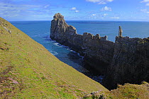 Prominent rocky pinnacles of 'Balor's soldiers', Tory Island, County Donegal, Republic of Ireland, June 2008
