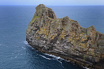 Prominent rocky pinnacles of 'Balor's soldiers', Tory Island, County Donegal, Republic of Ireland, June 2008