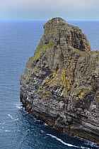 Prominent rocky pinnacle of 'Balor's soldiers', Tory Island, County Donegal, Republic of Ireland, June 2008