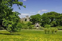 Crom Castle Estate (National Trust), County Fermanagh, Northern Ireland, UK