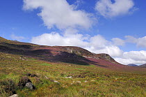 Douglas crag, Mourne Mountains, County Down, Northern Ireland, August