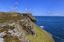 East cliffs of Dun bhaloir, Tory Island, County Donegal, Republic of Ireland, June 2008