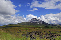 Errigal mountain, Derryveagh Mountains, County Donegal, Republic of Ireland, July 2007