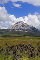 Errigal mountain with peat stacks in the foreground, Derryveagh Mountains, County Donegal, Republic of Ireland, July 2007