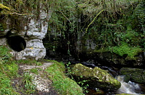 River walk at Cladagh Glen National Nature Reserve, Marble Arch, County Fermanagh, Northern Ireland, UK