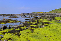 Coastal landscape with rock pools exposed at low tide, Murles Point, north east of Doorin Point, County Donegal, Republic of Ireland, May 2008