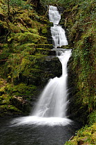 O'sullivan's cascade, Tomies Wood, Killarney National Park, County Kerry, Republic of Ireland, March 2007