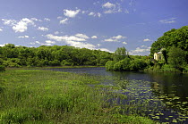 Oak woodland beside lake, Crom Castle Estate, County Fermanagh, Northern Ireland, UK, June 2006