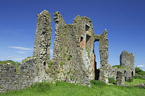 Old castle ruins, Crom Estate, County Fermanagh, Northern Ireland, UK