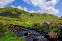 Sruell river, Grey Mare's Tail, Bule Stack Mountains, County Donegal, Republic of Ireland, July 2007