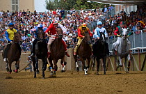 Six Fantini (jockeys), in the colours of a particular district of Asti, gallop off at the start of the Palio, on the third Sunday of September, in Asti, Piedmont, Italy, September 2009