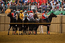 The start of the Palio is always difficult as the nine participating Fantini (jockeys) have to be perfectly aligned behind the cord. The Palio, the oldest registered Palio in Italy, takes place on the third Sunday of September, in Asti, Piedmont, Italy, September 2009