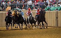 Six Fantini (jockeys), in the colours of a particular district of Asti, gallop off at the start of the Palio, on the third Sunday of September, in Asti, Piedmont, Italy. The jockeys gallop at full spe...