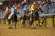 Five Fantini (jockeys), in the colours of a particular district of Asti, race bareback in the Palio, on the third Sunday of September, in Asti, Piedmont, Italy, September 2009