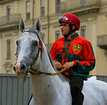 One of the Fantini (jockeys), in the colours of a particular district of Asti, takes part in the single trials on the Friday before the Palio, Asti, Piedmont, Italy. All the jockeys ride bareback, Sep...