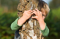 Child playing 'peek a boo' behind tree, UK, model released