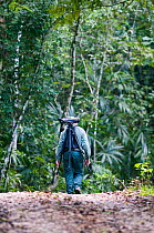 Birding in lowland tropical rainforest, Guatemala