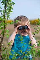 Child (three years) birdwatching on heath, Norfolk, UK, April, model released