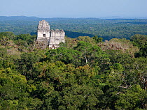 Mayan temples rising above the rainforest at Tikal, Guatemala, viewed from Temple 1V