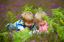 Boy and girl (aged 4 and 2) with magnifying glass looking at insects on heath, North Norfolk, UK, July, model released