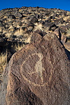 Native american Pueblo Hummingbird petroglyph, Petroglyph National Monument, Albuqurque, New Mexico, USA