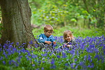 Children playing amongst Bluebells, Norfolk, UK, May, model released