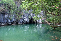 Cave entrance, Puerto Princesa Subterranean River National Park, Palawan Philippines, March 2009