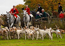 Huntsmen, followers and hounds of The Quorn Hunt arrive in Melton Mowbray for their opening meet, Leicestershire, England, UK, October 2009