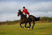 A gentleman, wearing the traditional hunting attire, canters at the opening meet of the Quorn Hunt, in Leicestershire, England, UK.  October 2009
