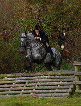 A gentleman jumps a tigertrap fence at the opening meet of the Quorn Hunt, in Leicestershire, England, UK.  October 2009