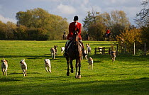 The huntsman controls the hounds at the opening meet of the Quorn Hunt, in Leicestershire, England, UK.  October 2009